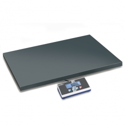 Plattformwaage, Wägeplatte BxTxH 950x500x58 mm, Wägebereich max. 300 kg, Ablesbarkeit 100 g