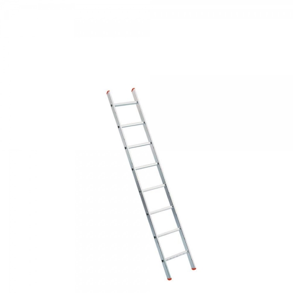 00074019.jpg