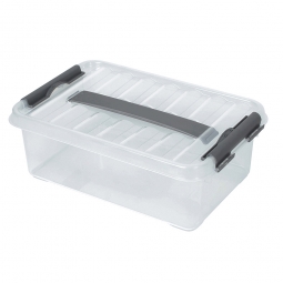 Clipbox mit Deckel, Inhalt 4 Liter, LxBxH 300x200x100 mm, Polypropylen (PP), transparent